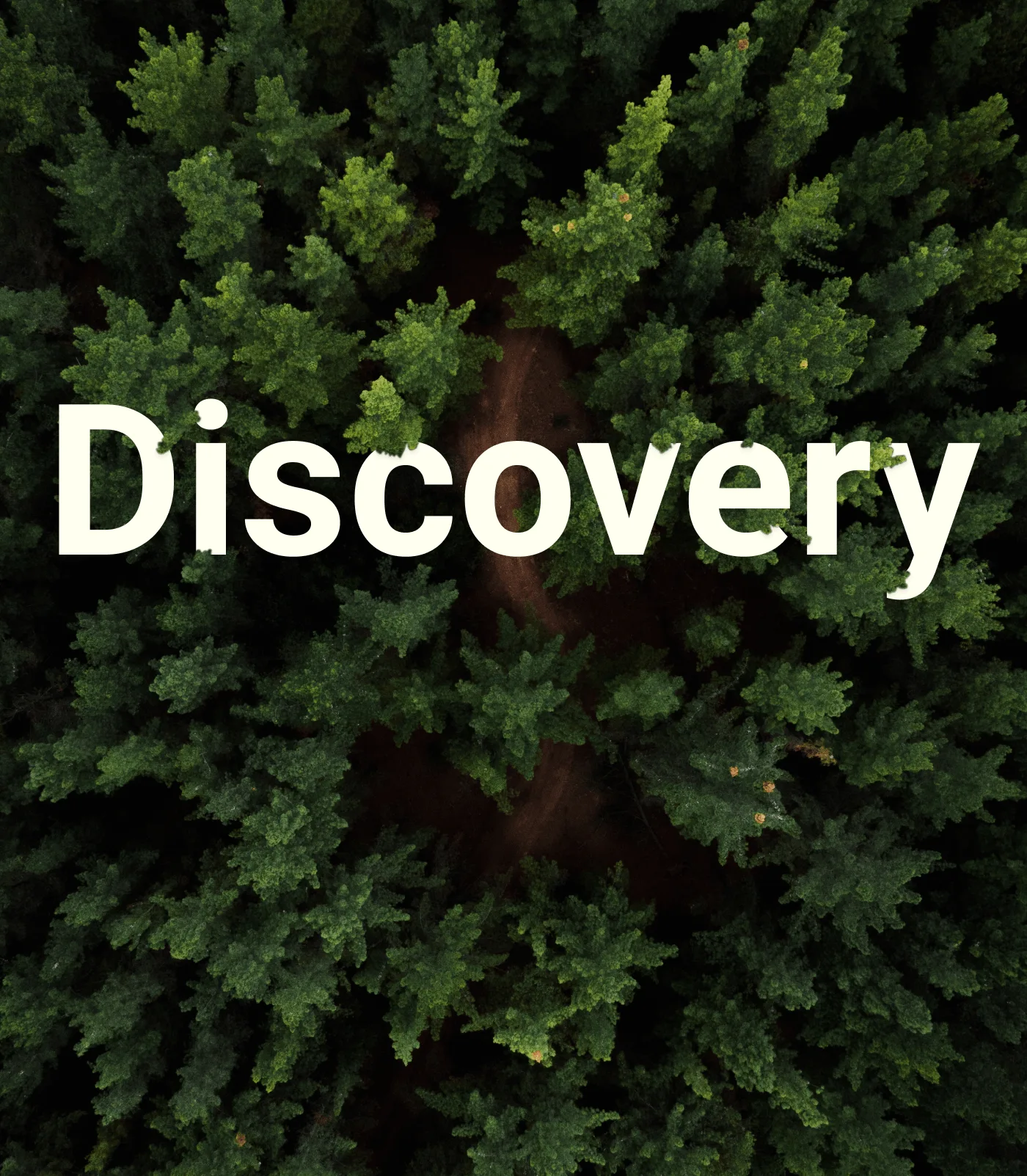 thumbnail for Discovery 